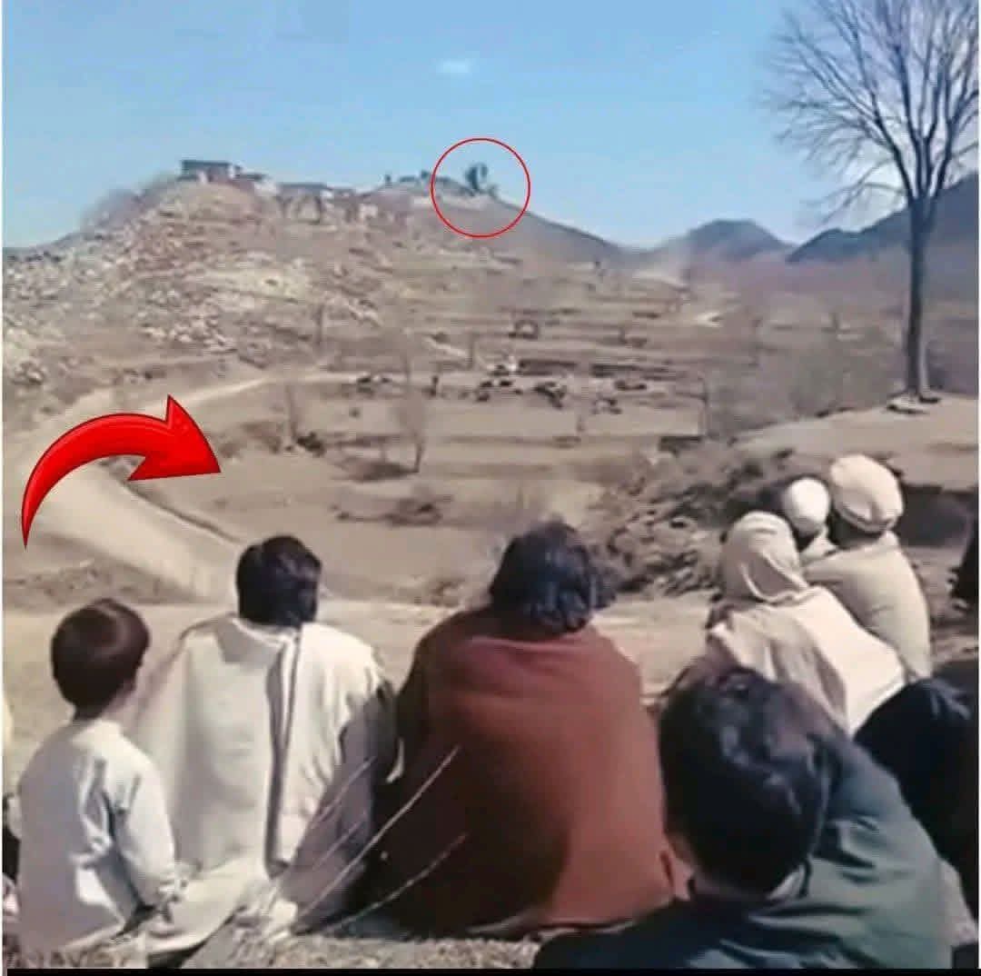 جاويد شينواري