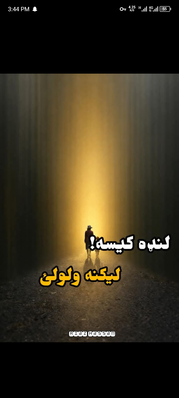 جاويد شينواري