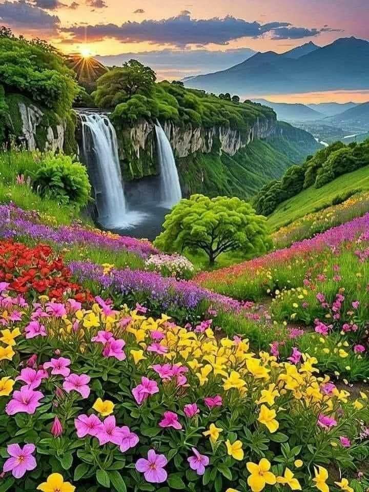 عبدالسلام نيازمن