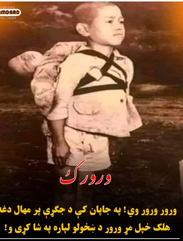 جاويد شينواري