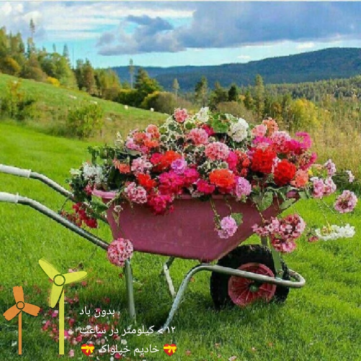 عبدالسلام نيازمن