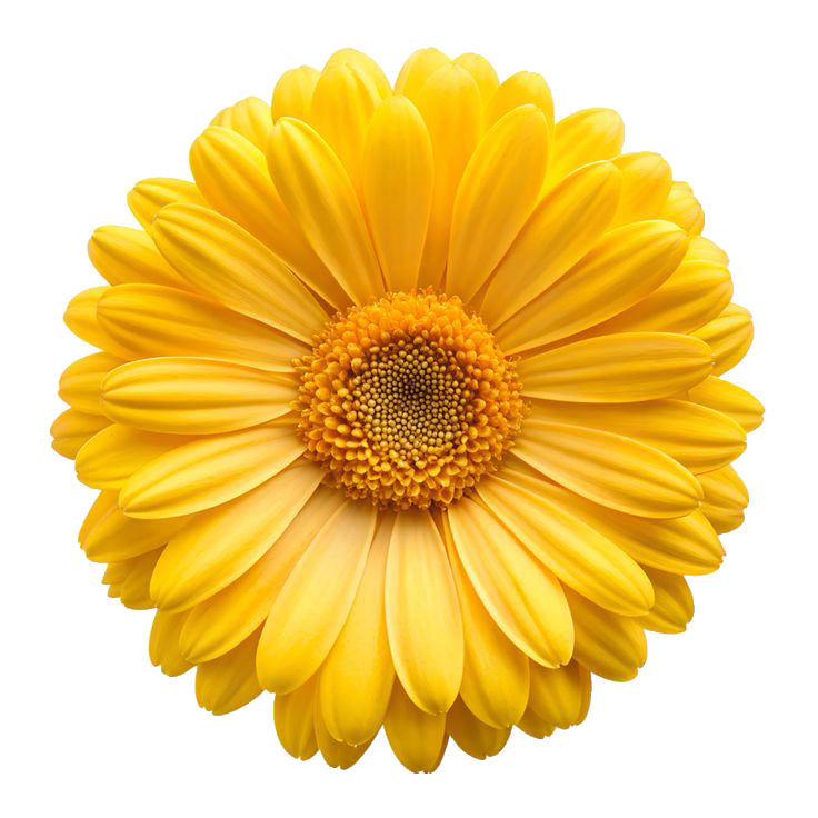 ریس خادیم