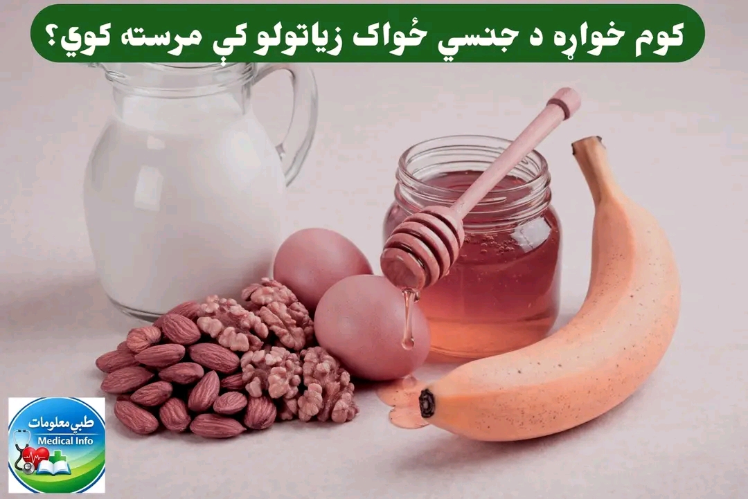 ریس خادیم