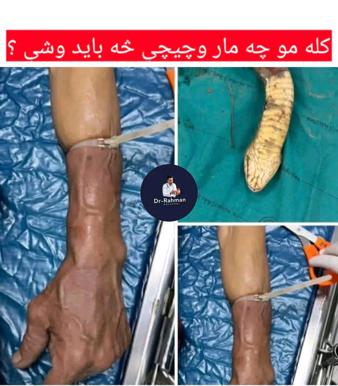ریس خادیم